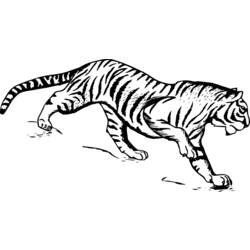 Disegno da colorare: Tigre (Animali) #13613 - Pagine da Colorare Stampabili Gratuite