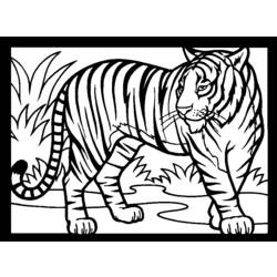 Disegno da colorare: Tigre (Animali) #13615 - Pagine da Colorare Stampabili Gratuite