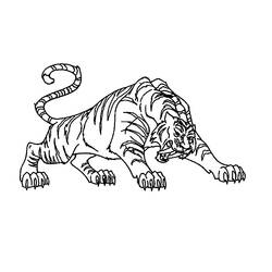 Disegno da colorare: Tigre (Animali) #13617 - Pagine da Colorare Stampabili Gratuite