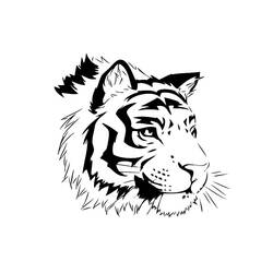 Disegno da colorare: Tigre (Animali) #13631 - Pagine da Colorare Stampabili Gratuite