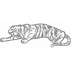 Disegno da colorare: Tigre (Animali) #13637 - Pagine da Colorare Stampabili Gratuite