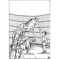Disegno da colorare: Tigre (Animali) #13646 - Pagine da Colorare Stampabili Gratuite