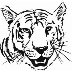 Disegno da colorare: Tigre (Animali) #13666 - Pagine da Colorare Stampabili Gratuite