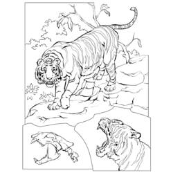 Disegno da colorare: Tigre (Animali) #13683 - Pagine da Colorare Stampabili Gratuite