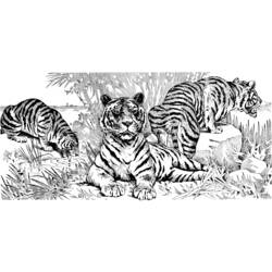 Disegno da colorare: Tigre (Animali) #13691 - Pagine da Colorare Stampabili Gratuite