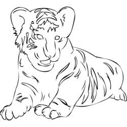 Disegno da colorare: Tigre (Animali) #13701 - Pagine da Colorare Stampabili Gratuite