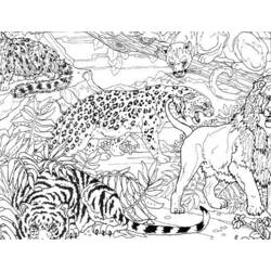 Disegno da colorare: Tigre (Animali) #13711 - Pagine da Colorare Stampabili Gratuite