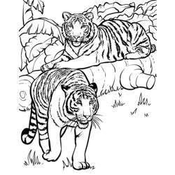 Disegno da colorare: Tigre (Animali) #13726 - Pagine da Colorare Stampabili Gratuite