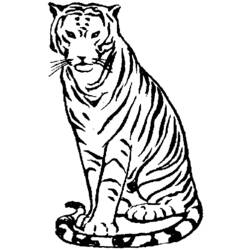 Disegno da colorare: Tigre (Animali) #13736 - Pagine da Colorare Stampabili Gratuite