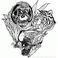 Disegno da colorare: Tigre (Animali) #13756 - Pagine da Colorare Stampabili Gratuite