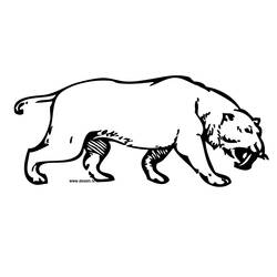 Disegno da colorare: Tigre (Animali) #13759 - Pagine da Colorare Stampabili Gratuite