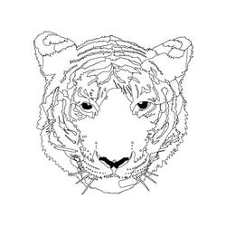 Disegno da colorare: Tigre (Animali) #13771 - Pagine da Colorare Stampabili Gratuite