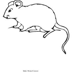 Disegno da colorare: Topo (Animali) #14111 - Pagine da Colorare Stampabili Gratuite