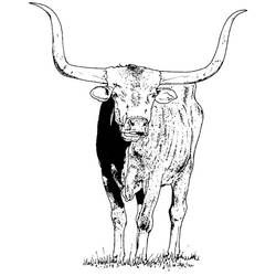 Disegno da colorare: Toro (Animali) #13788 - Pagine da Colorare Stampabili Gratuite