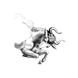 Disegno da colorare: Toro (Animali) #13808 - Pagine da Colorare Stampabili Gratuite