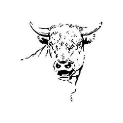 Disegno da colorare: Toro (Animali) #13821 - Pagine da Colorare Stampabili Gratuite