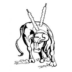 Disegno da colorare: Toro (Animali) #13836 - Pagine da Colorare Stampabili Gratuite