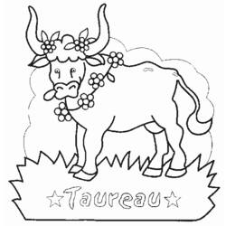 Disegno da colorare: Toro (Animali) #13839 - Pagine da Colorare Stampabili Gratuite