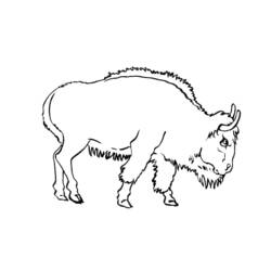 Disegno da colorare: Toro (Animali) #13855 - Pagine da Colorare Stampabili Gratuite