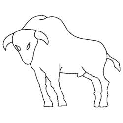 Disegno da colorare: Toro (Animali) #13910 - Pagine da Colorare Stampabili Gratuite