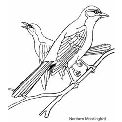 Disegno da colorare: Uccelli (Animali) #11871 - Pagine da Colorare Stampabili Gratuite