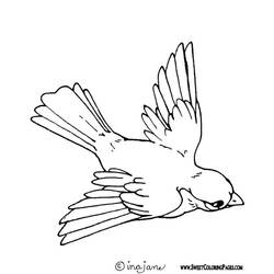 Disegno da colorare: Uccelli (Animali) #11874 - Pagine da Colorare Stampabili Gratuite
