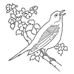 Disegno da colorare: Uccelli (Animali) #11883 - Pagine da Colorare Stampabili Gratuite