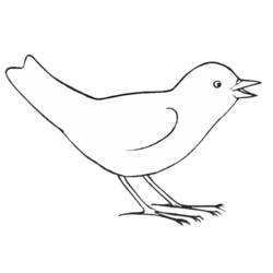 Disegno da colorare: Uccelli (Animali) #11884 - Pagine da Colorare Stampabili Gratuite