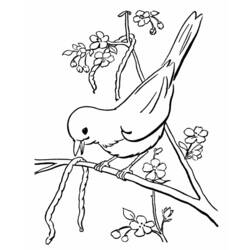 Disegno da colorare: Uccelli (Animali) #11885 - Pagine da Colorare Stampabili Gratuite