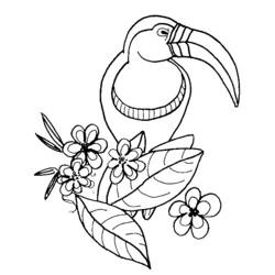 Disegno da colorare: Uccelli (Animali) #11897 - Pagine da Colorare Stampabili Gratuite
