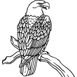 Disegno da colorare: Uccelli (Animali) #11901 - Pagine da Colorare Stampabili Gratuite