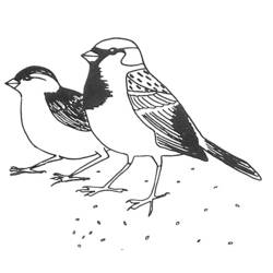 Disegno da colorare: Uccelli (Animali) #11903 - Pagine da Colorare Stampabili Gratuite