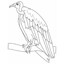 Disegno da colorare: Uccelli (Animali) #11914 - Pagine da Colorare Stampabili Gratuite