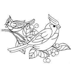 Disegno da colorare: Uccelli (Animali) #11926 - Pagine da Colorare Stampabili Gratuite