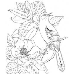 Disegno da colorare: Uccelli (Animali) #11943 - Pagine da Colorare Stampabili Gratuite