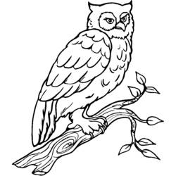 Disegno da colorare: Uccelli (Animali) #11974 - Pagine da Colorare Stampabili Gratuite