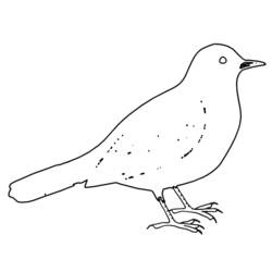 Disegno da colorare: Uccelli (Animali) #11977 - Pagine da Colorare Stampabili Gratuite