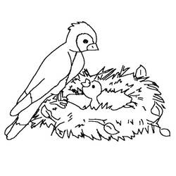 Disegno da colorare: Uccelli (Animali) #11980 - Pagine da Colorare Stampabili Gratuite