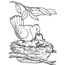 Disegno da colorare: Uccelli (Animali) #11997 - Pagine da Colorare Stampabili Gratuite