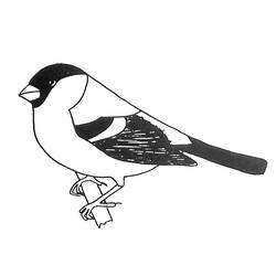 Disegno da colorare: Uccelli (Animali) #12019 - Pagine da Colorare Stampabili Gratuite