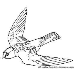 Disegno da colorare: Uccelli (Animali) #12029 - Pagine da Colorare Stampabili Gratuite
