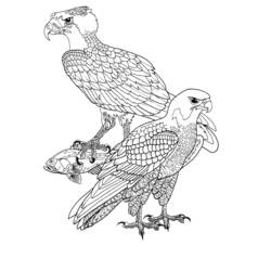 Disegno da colorare: Uccelli (Animali) #12053 - Pagine da Colorare Stampabili Gratuite