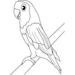 Disegno da colorare: Uccelli (Animali) #12084 - Pagine da Colorare Stampabili Gratuite