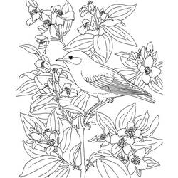Disegno da colorare: Uccelli (Animali) #12108 - Pagine da Colorare Stampabili Gratuite