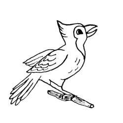 Disegno da colorare: Uccelli (Animali) #12112 - Pagine da Colorare Stampabili Gratuite
