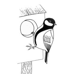 Disegno da colorare: Uccelli (Animali) #12125 - Pagine da Colorare Stampabili Gratuite