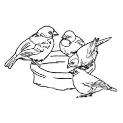 Disegno da colorare: uccellini (Animali) #20136 - Pagine da Colorare Stampabili Gratuite