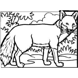 Disegno da colorare: Volpe (Animali) #14977 - Pagine da Colorare Stampabili Gratuite