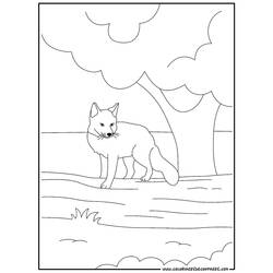 Disegno da colorare: Volpe (Animali) #15021 - Pagine da Colorare Stampabili Gratuite