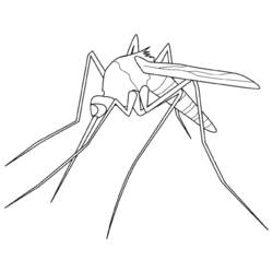 Disegno da colorare: Zanzara (Animali) #11320 - Pagine da Colorare Stampabili Gratuite